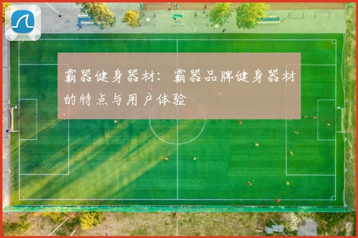 霸器健身器材：霸器品牌健身器材的特点与用户体验