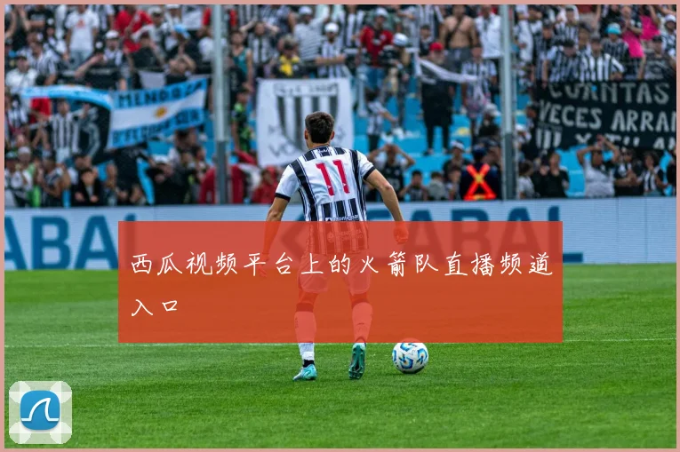 西瓜视频平台上的火箭队直播频道入口