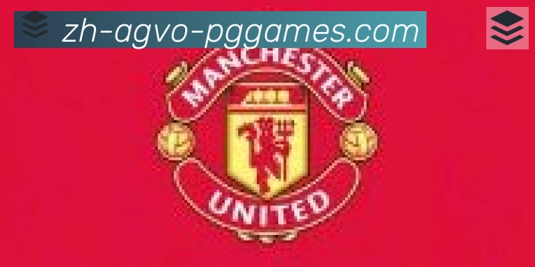 PG模拟器官方网站合作伙伴